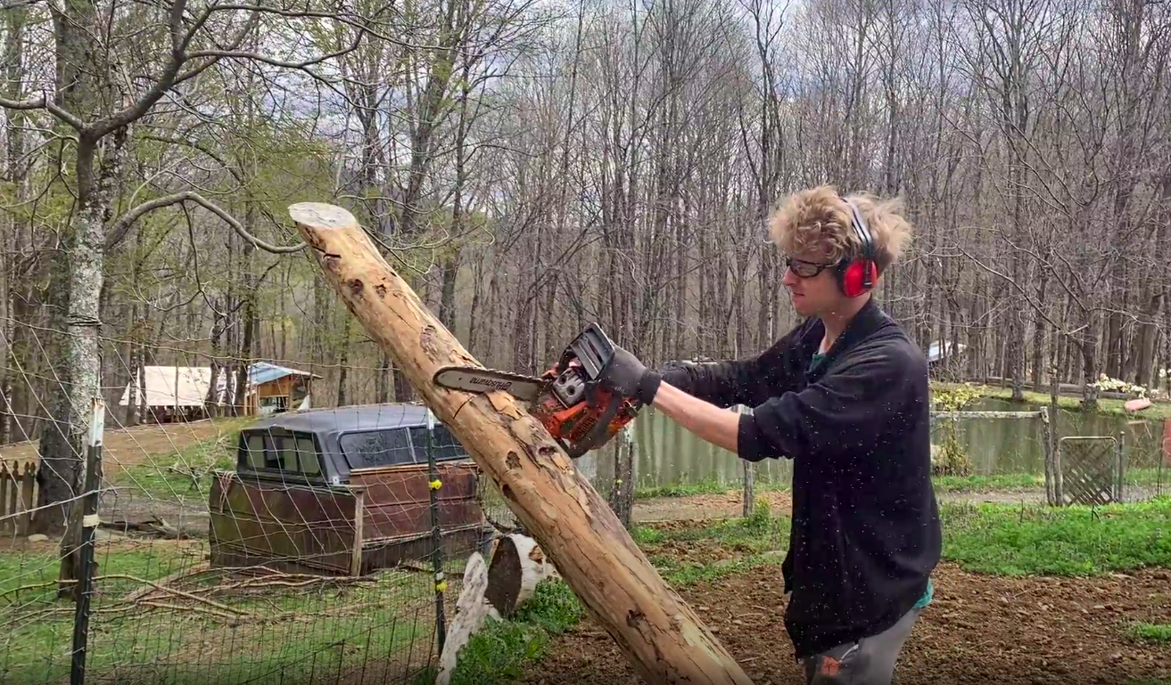 Leon chainsaw'ing a tree!